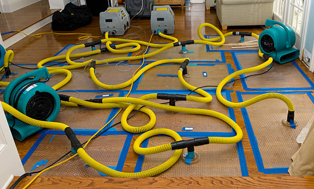 Professional Basement Flood Cleanup technician working in Selah, WA